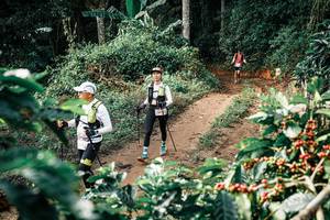 BIB: 
                            <button type="button" onclick="openModal(25856446)" class="btn btn-primary btn-sm float-right btn-popup" data-toggle="modal" data-target=".modal-high-quality">
                        <i class="fas fa-shopping-cart"></i> Add to Cart
                    </button>
                                            <button type="button" onclick="isThisMe(25856446, true)" class="btn btn-success btn-sm float-right btn-popup btn-isme hidden" data-toggle="tooltip" data-placement="bottom" title="นี่คือรูปของคุณใช่ไหม คลิกที่นี่เพื่อเอาเข้าอัลบั้ม">
                        <i class="fas fa-plus"></i> Add to album
                    </button>
                    <button type="button" onclick="isThisMe(25856446, false)" class="btn btn-warning btn-sm float-right btn-popup btn-isnotme hidden">
                        <i class="fas fa-ban"></i> Remove from album
                    </button>